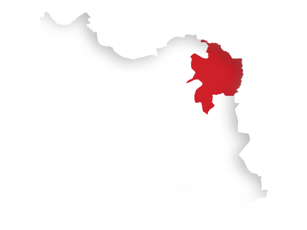 نمایندگی در ایران